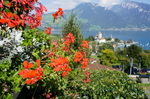 DSC01049.JPG